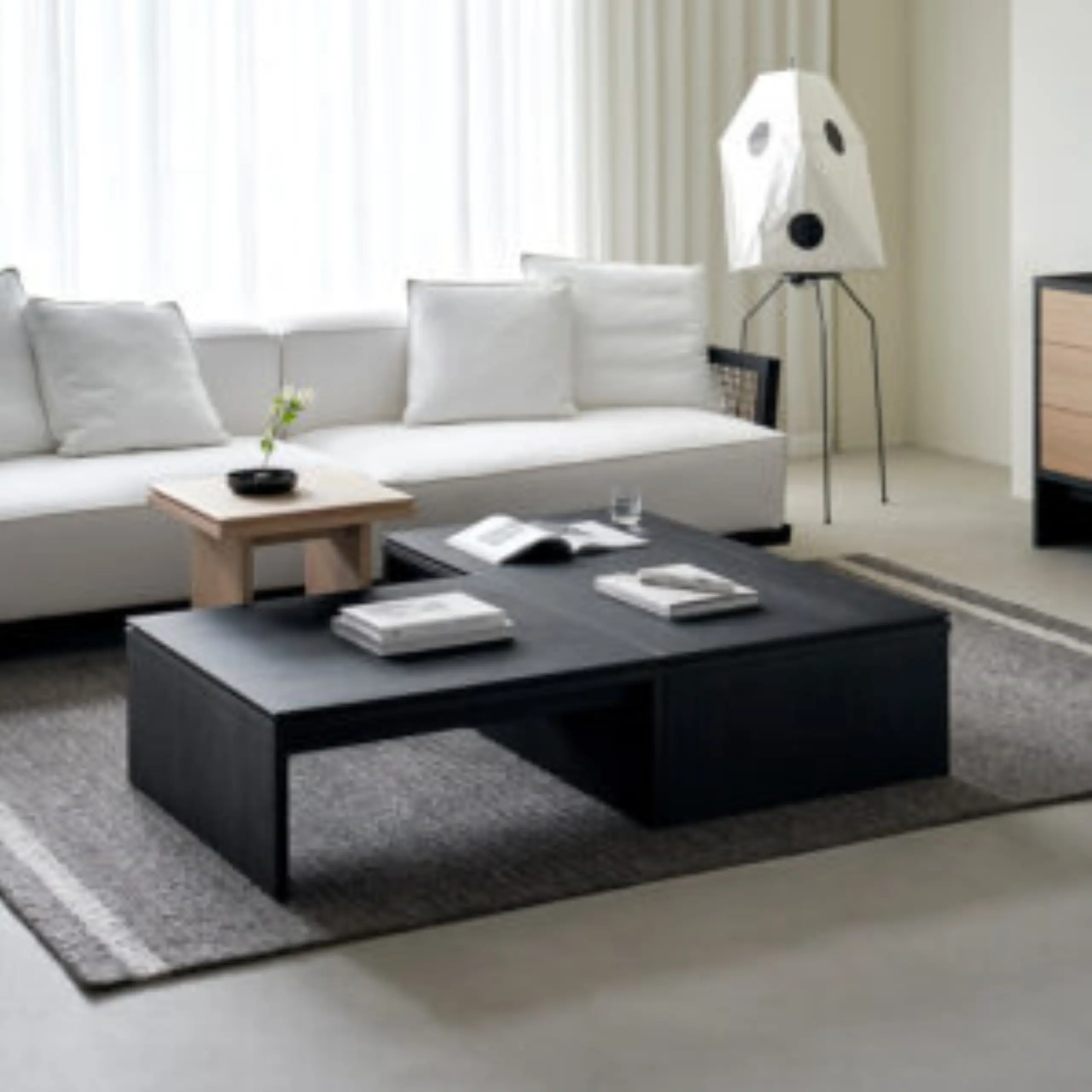 Multipurpose Coffee Table: Stylish Storage for Living Rooms